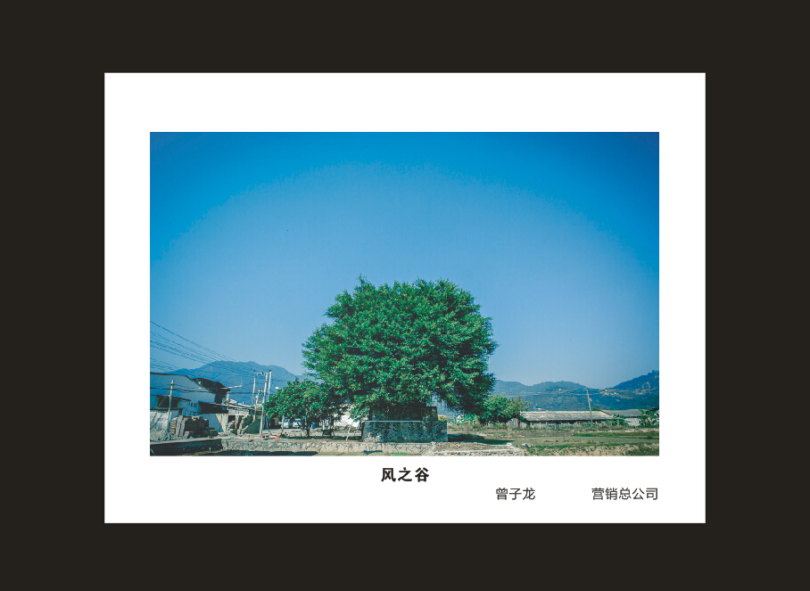 云顶国际yd888智能建设16周年司庆活动“魅力云顶国际yd888”摄影角逐优异作品展