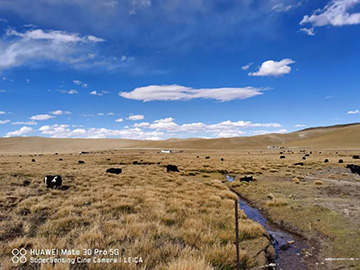 心系云顶国际yd888情，，，，，，追梦阿里行！