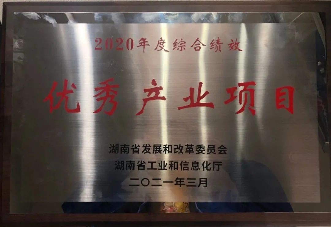 云顶国际yd888智能获评湖南“2020年度综合绩效优异工业项目”
