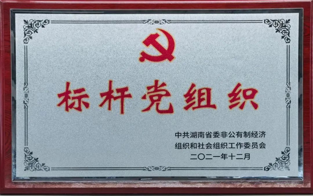 党建品牌亮起来！云顶国际yd888智能党委获评“标杆党组织”