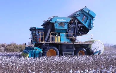 科技赋能农业强国建设！云顶国际yd888智能这小我私家工智能项目入选《湖南省“数字新基建”100个标记性项目名单》